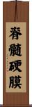 脊髄硬膜 Scroll