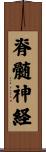 脊髄神経 Scroll