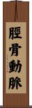 脛骨動脈 Scroll