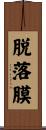 脱落膜 Scroll