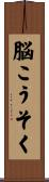 脳こうそく Scroll