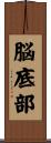 脳底部 Scroll