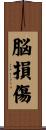 脳損傷 Scroll