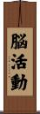脳活動 Scroll