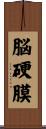 脳硬膜 Scroll