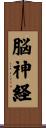 脳神経 Scroll