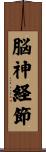 脳神経節 Scroll