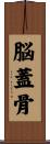 脳蓋骨 Scroll