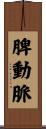 脾動脈 Scroll
