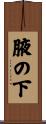 腋の下 Scroll