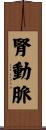 腎動脈 Scroll