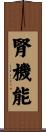 腎機能 Scroll
