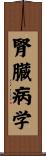 腎臓病学 Scroll