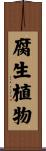 腐生植物 Scroll