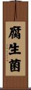 腐生菌 Scroll
