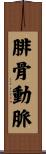 腓骨動脈 Scroll