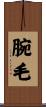 腕毛 Scroll