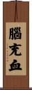 腦充血 Scroll