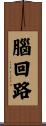 腦回路 Scroll