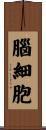 腦細胞 Scroll