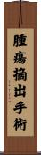 腫瘍摘出手術 Scroll