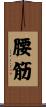 腰筋 Scroll