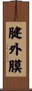 腱外膜 Scroll