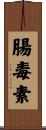 腸毒素 Scroll