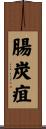 腸炭疽 Scroll