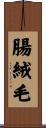 腸絨毛 Scroll