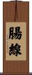 腸線 Scroll