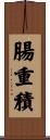 腸重積 Scroll