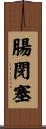 腸閉塞 Scroll