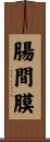 腸間膜 Scroll