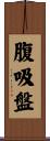 腹吸盤 Scroll