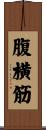 腹横筋 Scroll