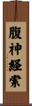 腹神経索 Scroll