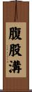 腹股溝 Scroll