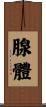 腺體 Scroll