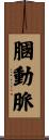 膕動脈 Scroll