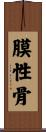 膜性骨 Scroll