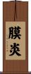 膜炎 Scroll