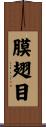 膜翅目 Scroll