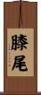 膝尾 Scroll