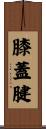 膝蓋腱 Scroll