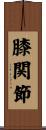 膝関節 Scroll