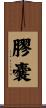 膠嚢 Scroll