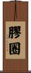 膠圈 Scroll