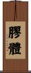 膠體 Scroll