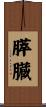膵臓 Scroll